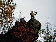 ���Вf�R�ɗ��I